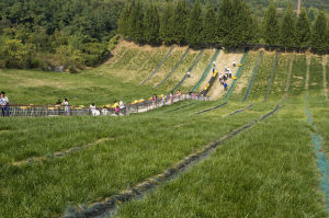 歡喜滑草場公園 