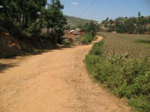 進村道路