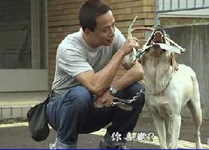 《導盲犬小Q》