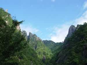 飛紅滴翠記黃山