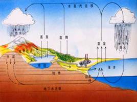 陸地生態系統