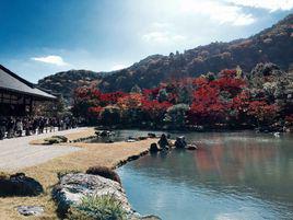 天龍寺[網遊《天龍八部》門派]