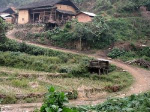 洛科山自然村進村道路