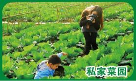 密山市開心農場