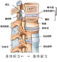 腰椎退行性變