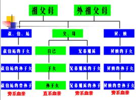 血緣[一種遺傳關係]