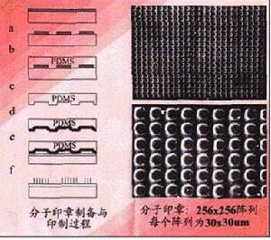 合成生物學的研究