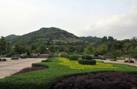 龍頭山森林公園