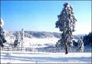 仙女山國家森林公園