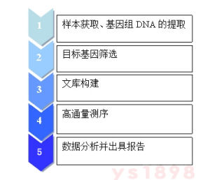 乳腺癌易感基因檢測