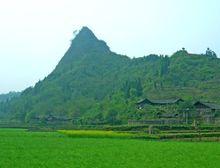 肖家橋鄉大坪獨子峰