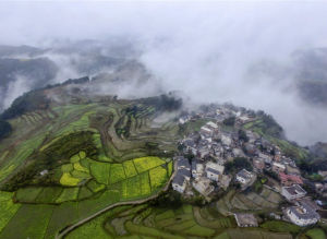 高坡鄉