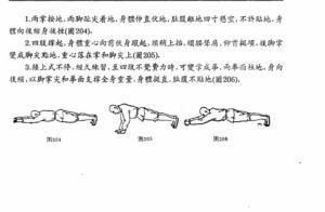 臥虎功(圖解)