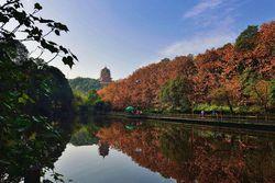 東湖山公園