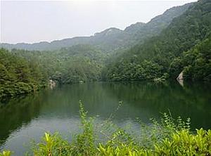 王家河鄉[陝西省西安市周至縣王家河鄉]