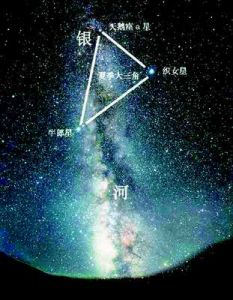 牽牛星