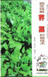 薺菜栽培