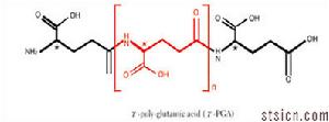 賽特斯stsicn聚谷氨酸分子式