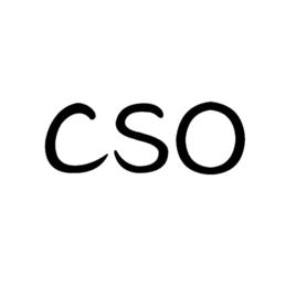 cso[社會服務令]