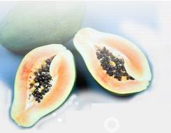 木瓜凝乳蛋白酶