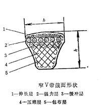 窄V帶結構圖