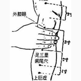 豐隆[詞語解釋]