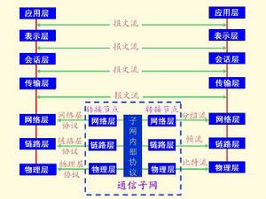 網路模型