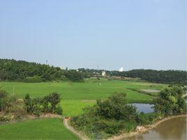 新鋪村[湖南省岳陽市華容縣工業園新鋪村]