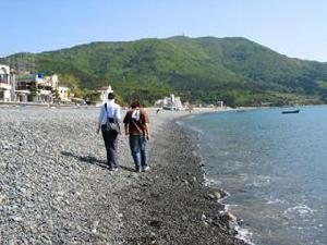 鶴洞黑鵝卵石海岸