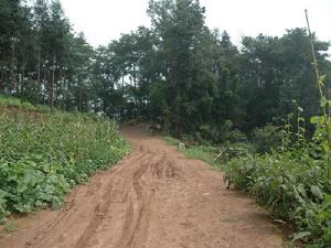 鄉村公路