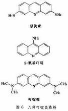 基因突變