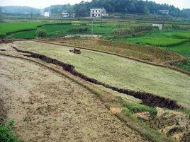 虎塘村[廣東省廣州市白雲區鍾落潭鎮下轄村]