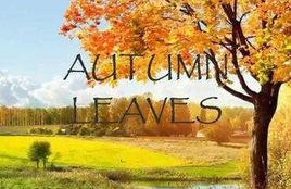 Autumn Leaves