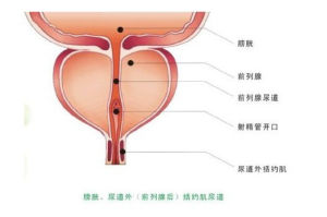 設計原理1