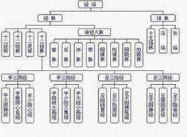 足太陽絡脈