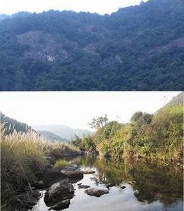 上際村[福建省福州市永泰縣長慶鎮上際村]