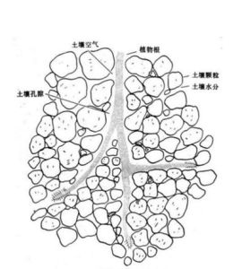 土壤膠體