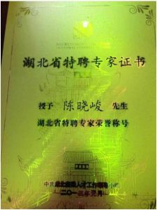 融貫資訊 CEO 陳曉峻獲湖北省特聘專家稱號