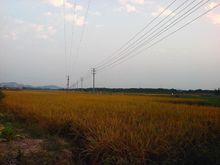 汾水村[廣東揭陽玉湖汾水村]