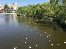 翠湖公園風景