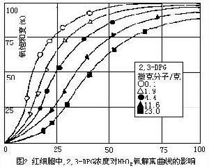 成熟紅細胞的代謝曲線