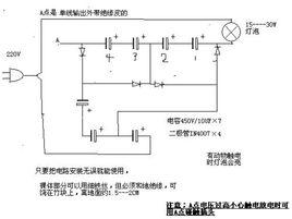 電貓