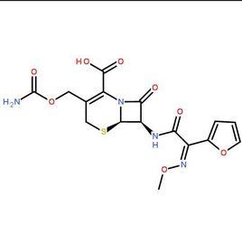 頭孢菌素18