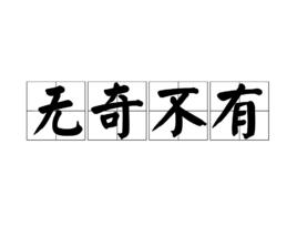 無奇不有[詞語]