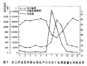 海洋生態