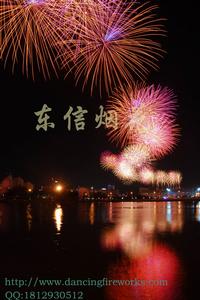 瀏陽市東信煙花集團有限公司