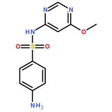 分子結構圖