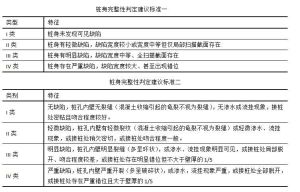 樁身完整性判定建議標準