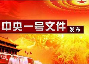 中共中央、國務院關於落實發展新理念加快農業現代化實現全面小康目標的若干意見