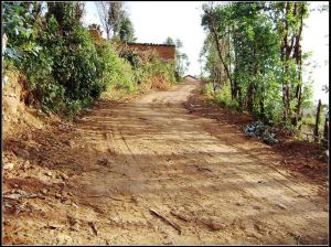 進村道路